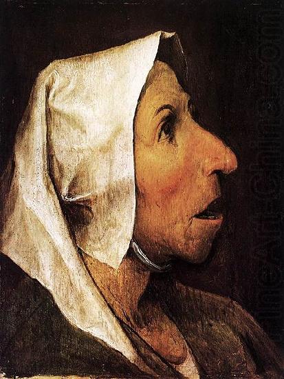 Pieter Bruegel the Elder Portrait of an Old Woman china oil painting image